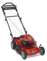 Tosaerba TORO 20792 - www.delbroccosrl.it 
