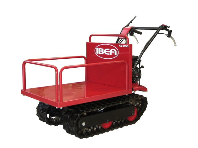 Minitrasporter IBEA IBT 255 Cassone - Del Brocco Srl
